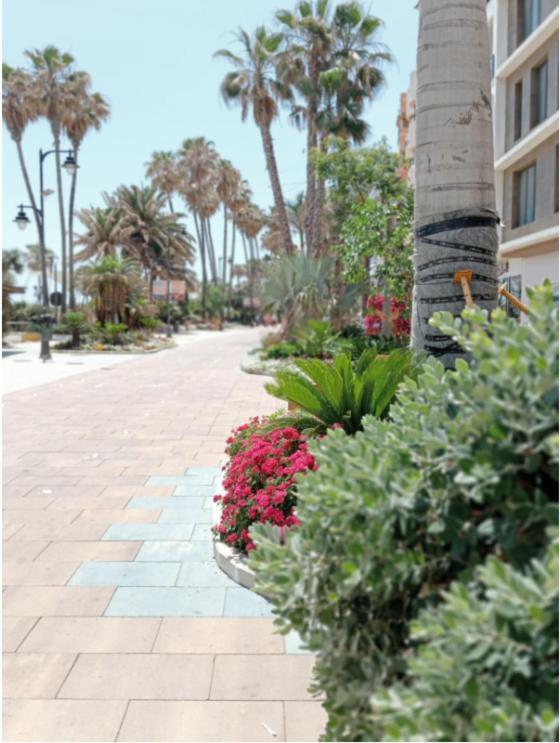 Beach Side Apartment -Estepona Buitenkant foto
